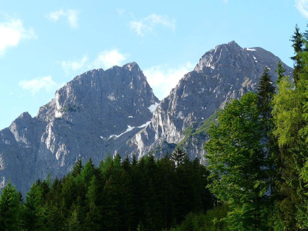 Ferienhotel Samerhof Pfarrwerfen Quarto foto